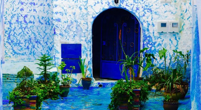 casa malek - Image 1