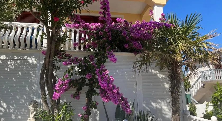 Apartmani Divkovic - Image 1