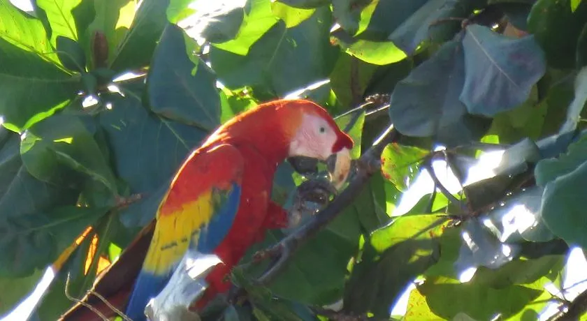 chez philippe - Image 1