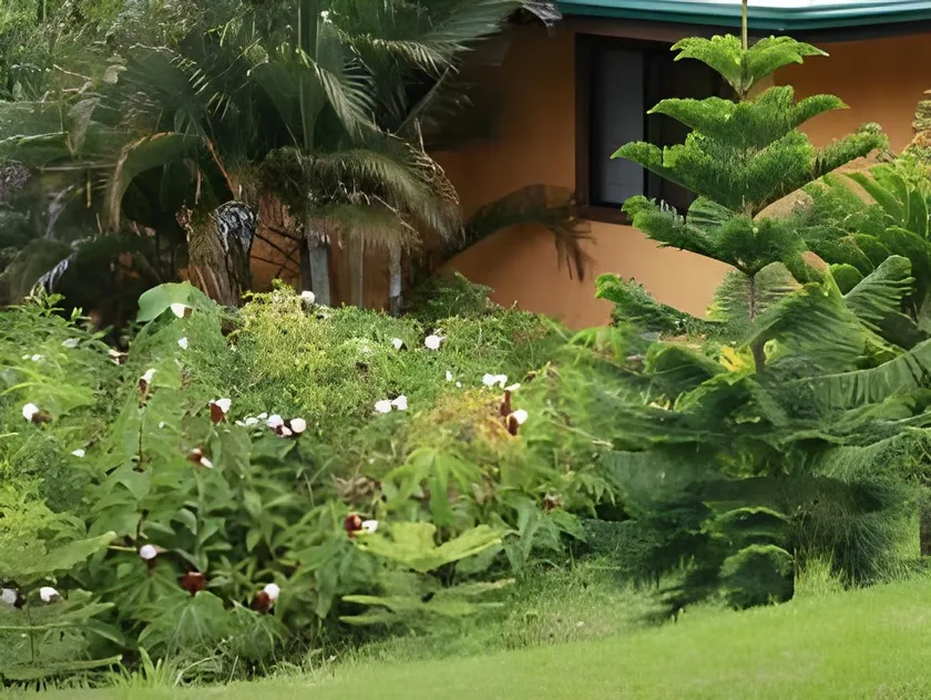 Boutique Hotel Luna Azul - Image 1