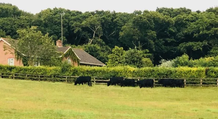 Yellowham Farm, Dorchester - Image 1