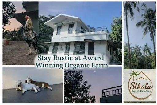 Sthala Organic Farm Stay - Image 1