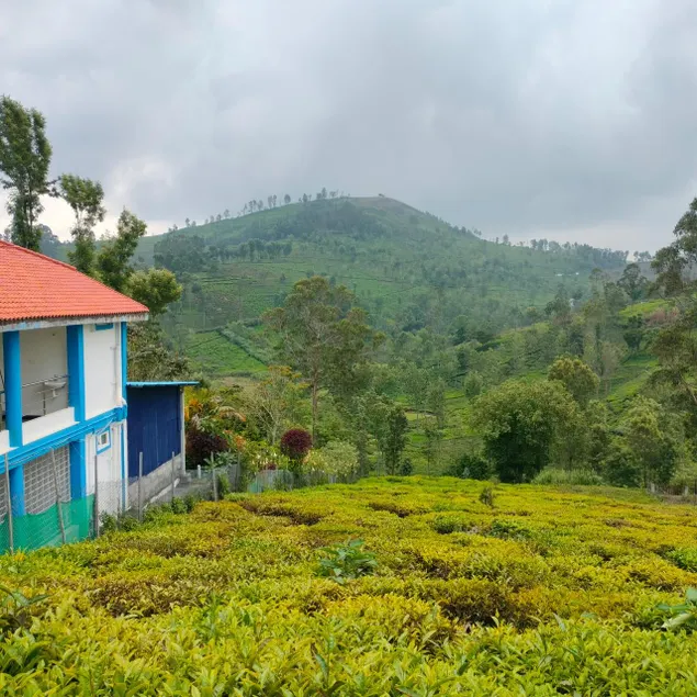 Nest Valley Kotagiri - Image 1