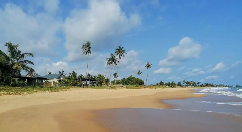 Afro Beach eco Resort Butre - Image 1
