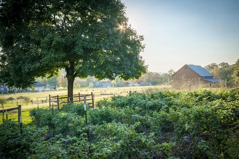 Frush Farm Bed & Breakfast - Image 1