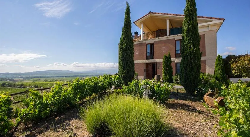 Mar de viñas - Image 1