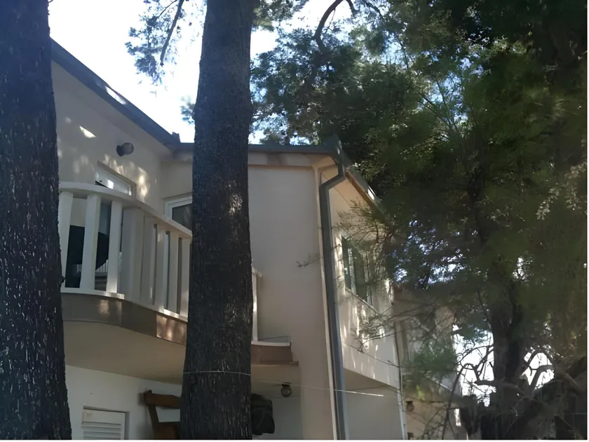 Apartments & Bungalows Ivanović - Image 1
