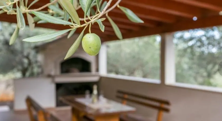 HOLIDAY HOUSE Ose - Image 1