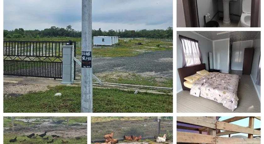 Cabin stay Triang Besar - Image 1