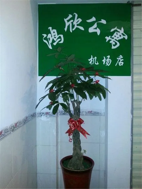 Hongxin Apartment (Xiamen Airport Shop) - Image 1