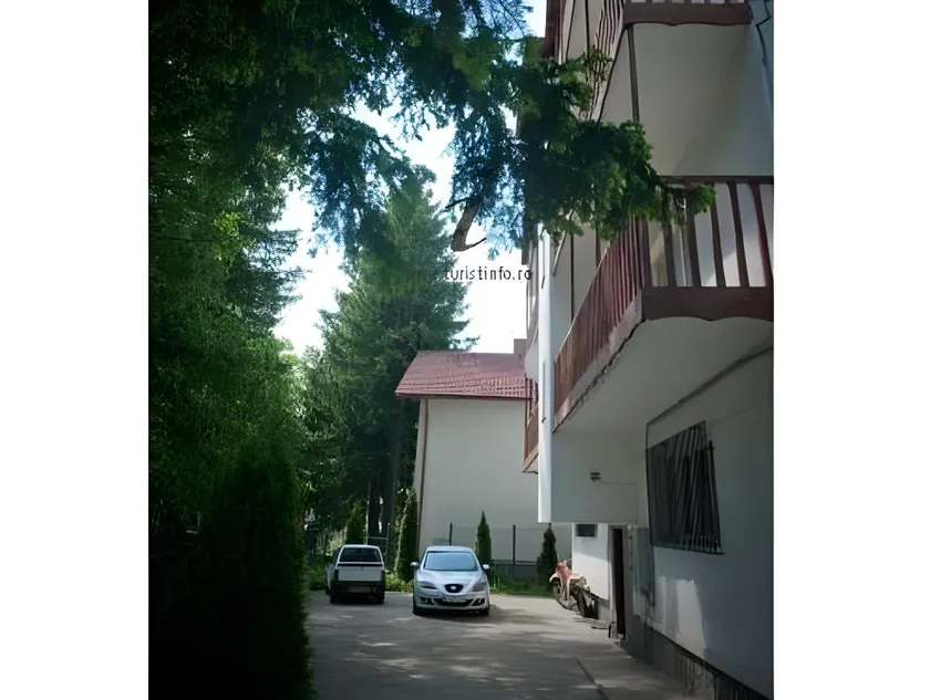 Sinaia Alex Apartments - Image 1