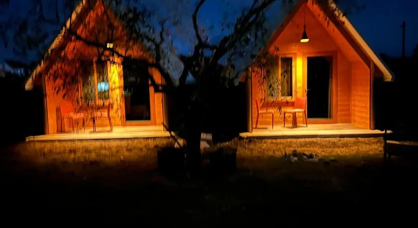 Treeolives - Image 1