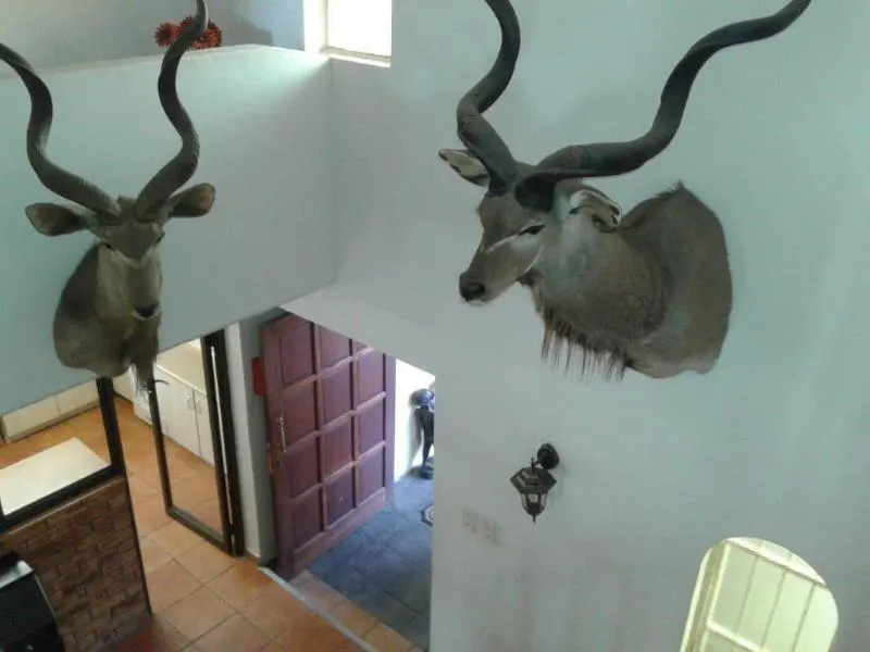 Kalahari Guest House - Image 1
