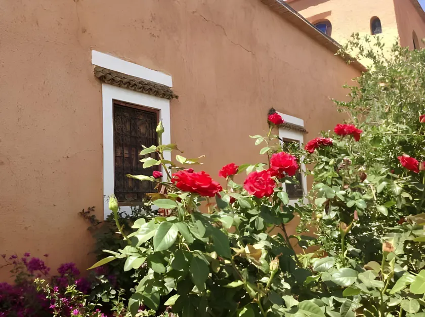 Riad Timadrouine - Image 1