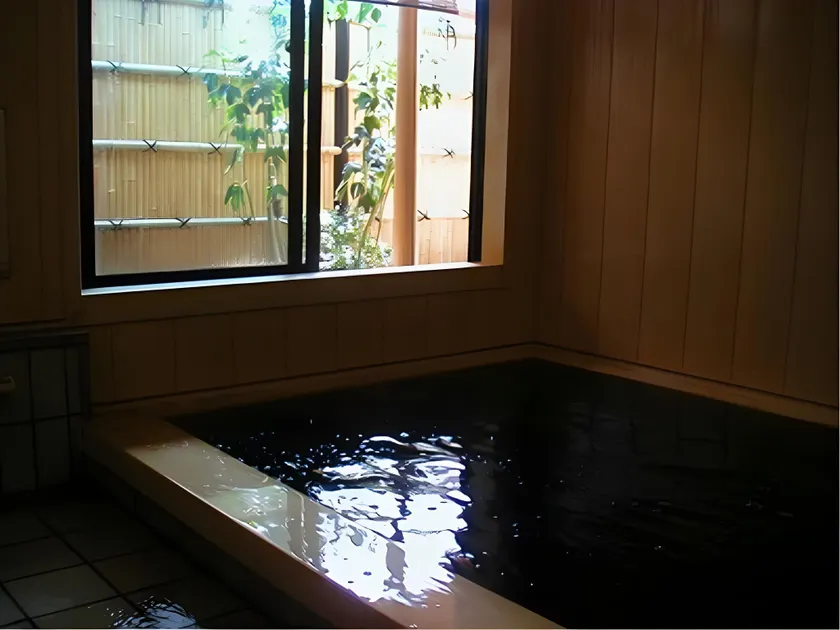 Ryokan Iriumi - Image 1