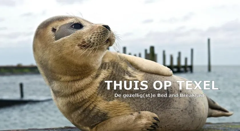 Thuis op Texel - Image 1