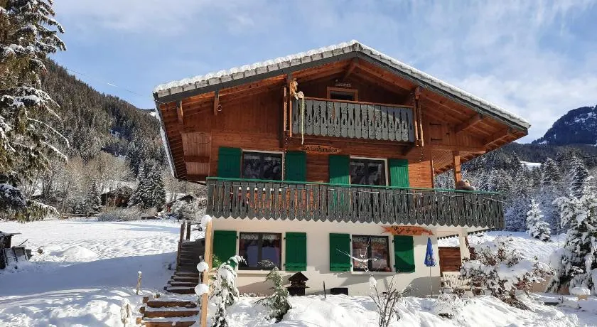 Chalet la sapiniere - Image 1