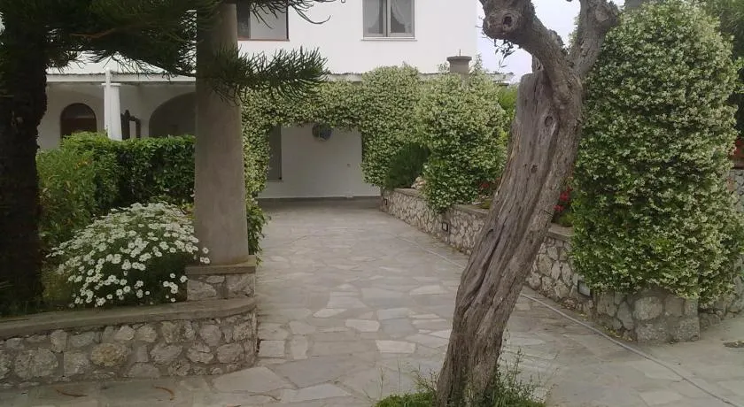 Il Merlo - Image 1