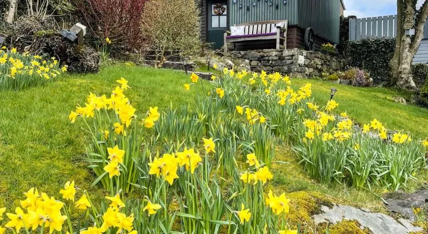 5 Star Shepherds Hut in Betws y Coed with Mountain View - Image 1