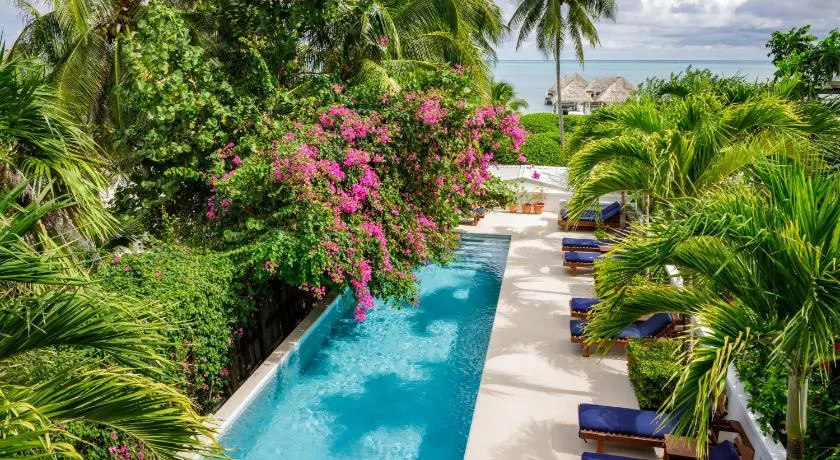Weezie's Ocean Front Hotel and Garden Cottages - Image 1