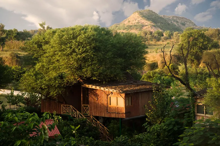 The Tree House Resort, Jaipur- A Club Mahindra Associate - Image 1