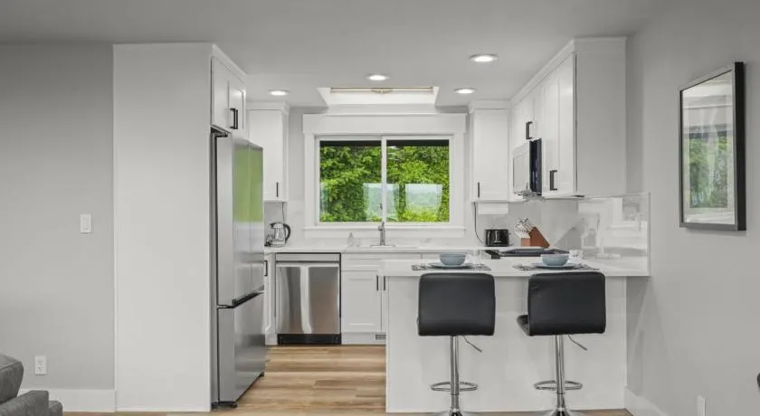 2BR 1BA Sammamish Lakeview Oasis Bellevue - Image 1