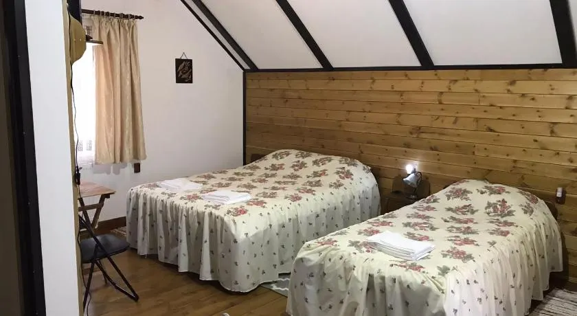 Pensiunea Păstrăvul de Aur - Image 1