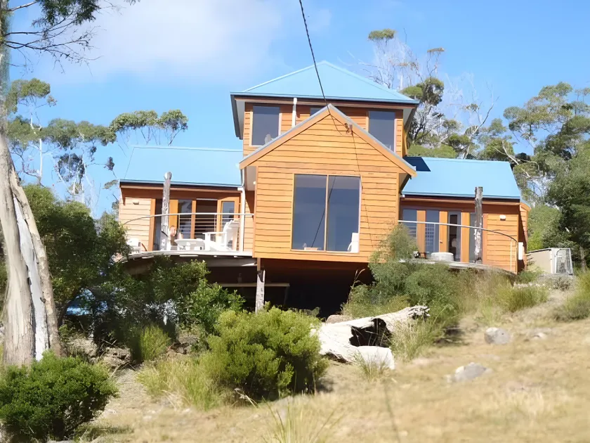 The Tree House - Image 1