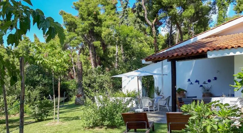 Villa Aurora in Sani with garden and pool - Image 1