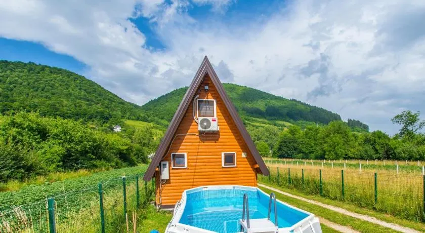 Pyramid Energy House - Image 1