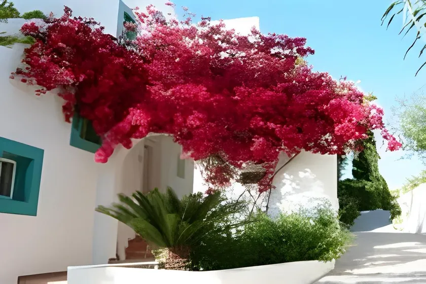 Mastichari Bay Hotel - Image 1