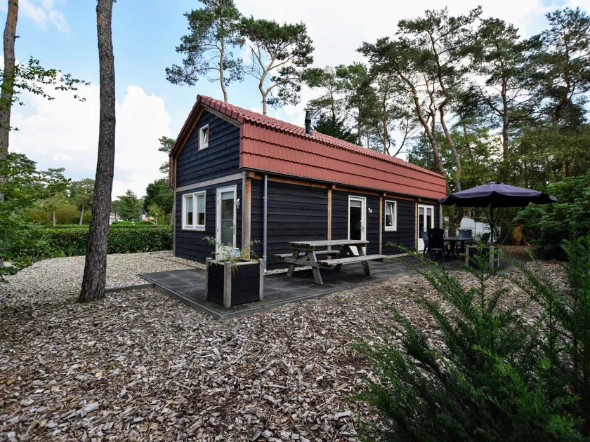 Quaint Villa in Doornspijk with Swimming Pool - Image 1
