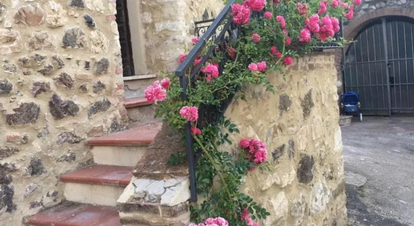 Rosa di Maggio - Image 1