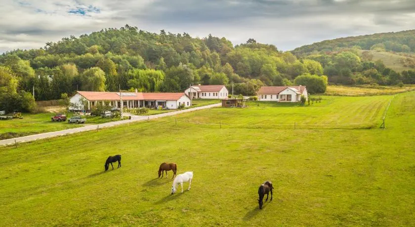 Bánvölgye Vendégház és Apartmanok - Image 1
