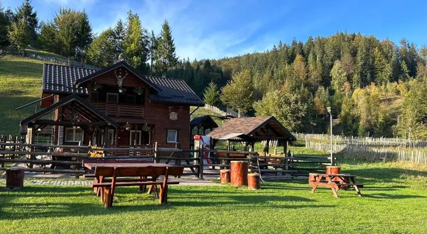Cabana TYF - Dreptu - Image 1