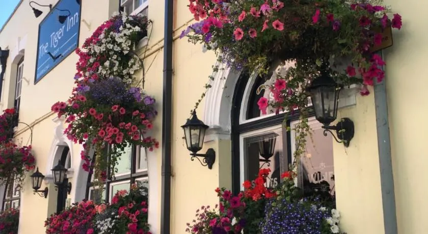 tiger inn - Image 1