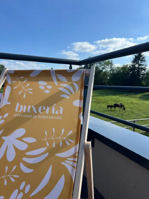 Nature cottage with spa - Buxeria horse side - Image 1