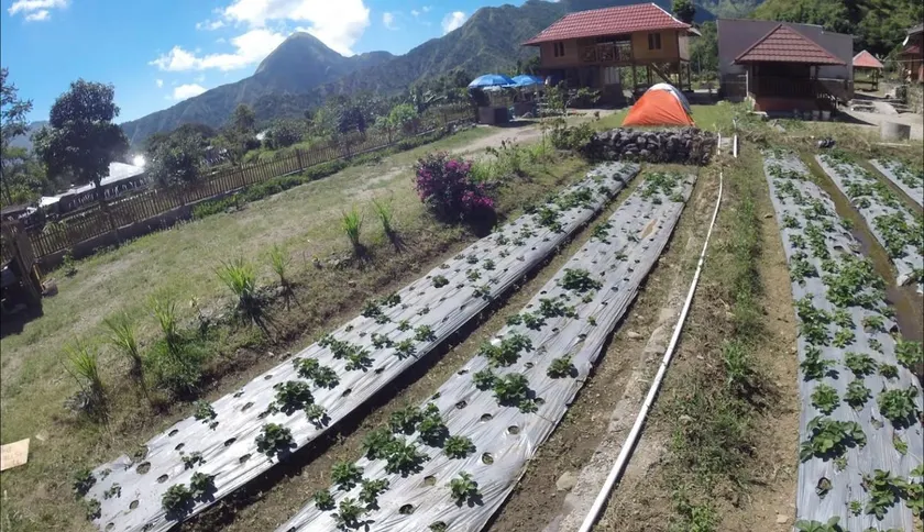 Bale Sembahulun Cottages and Tent - Image 1