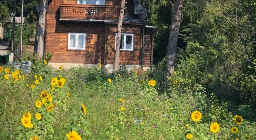 Vacationhome in the vineyards - Image 1