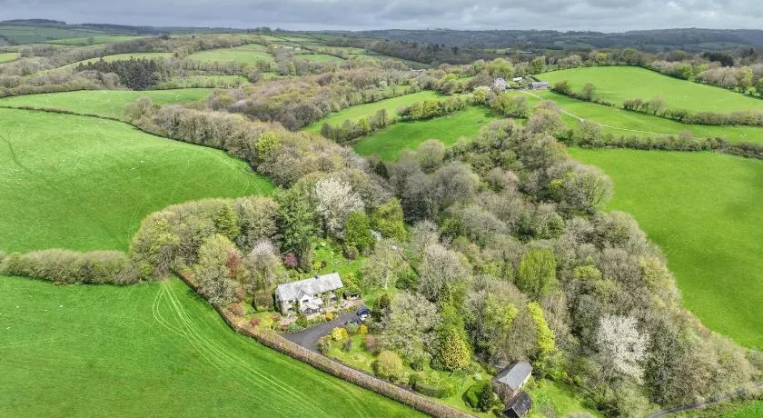 Nutsford House Bed & Breakfast - Image 1