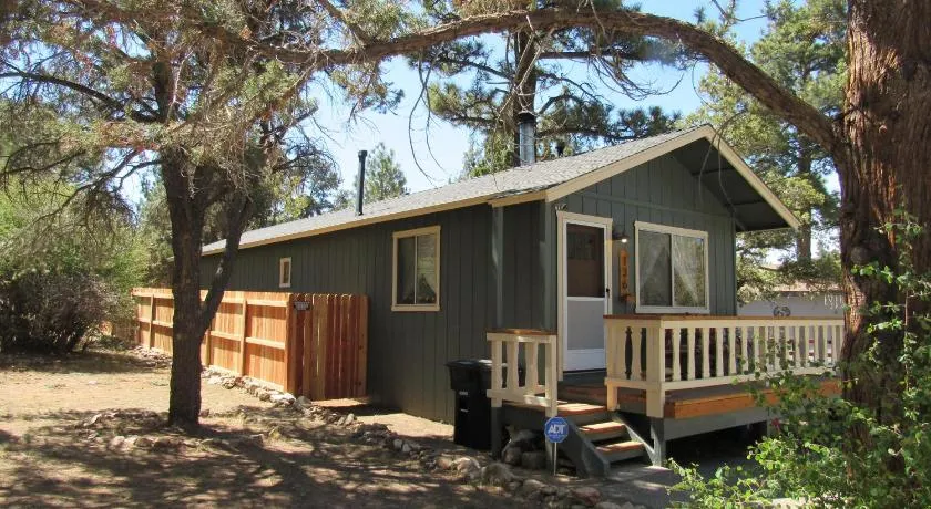 Lazy Pines - Image 1