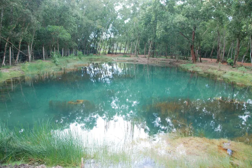 Villa Lien Tho - Image 1