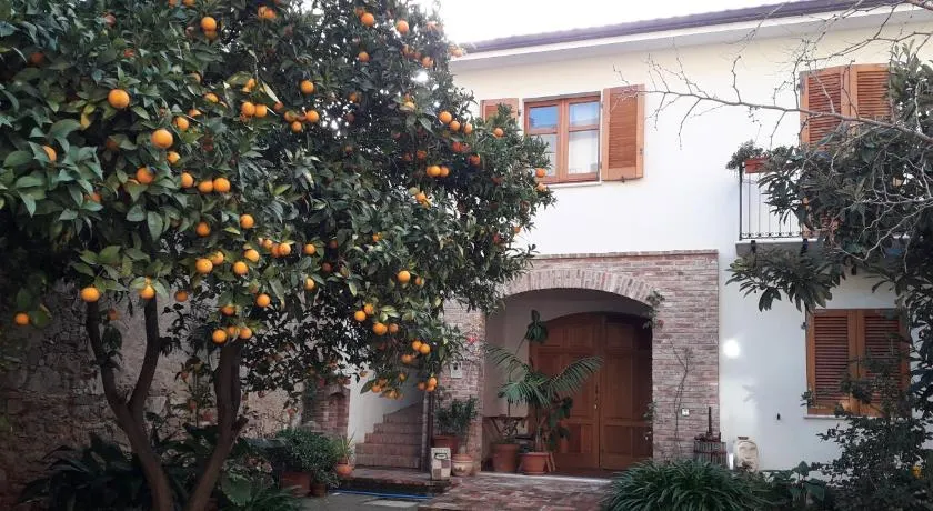 L'arancio Antico - Image 1