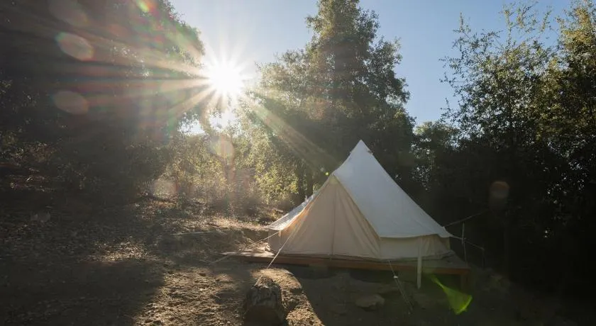 Cozy Bell Tent in Palomar Mountains - Image 1