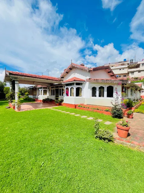 Bouganvilla - Image 1