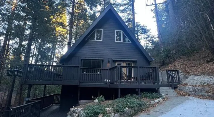 Lake Arrowhead Lux Black Cabin - Image 1