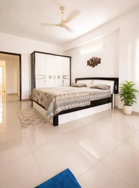 Luxury 3 BHK furnished flat in Sayajigunj Vadodara - Image 1