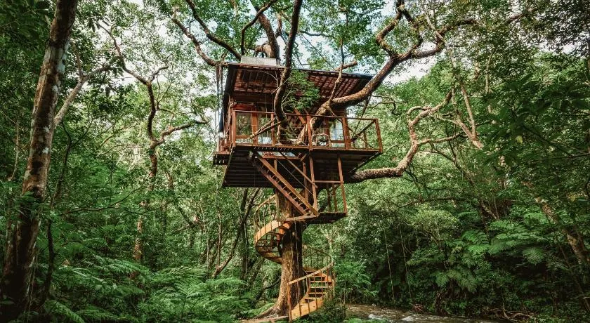 Treeful Treehouse Sustainable Resort Okinawa - Image 1