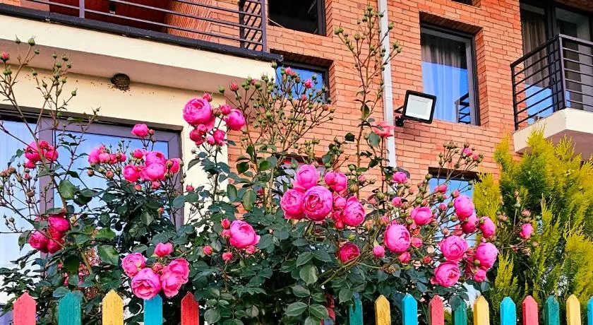 GM - Guesthouse - Image 1