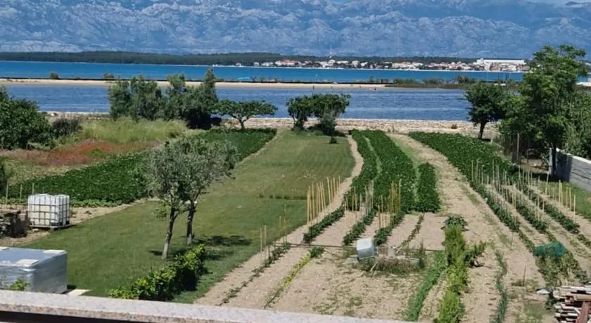 Apartman Sonia - Image 1